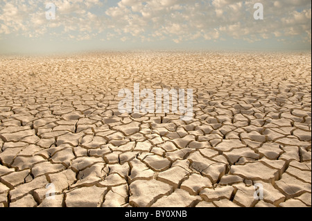 rissigen Boden Muster in das Zin Tal, Arava, Israel. Stockfoto