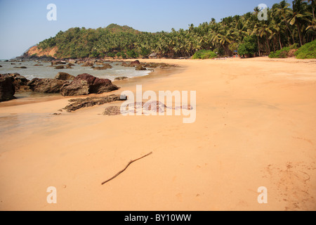 Einsamen tropischen Strand in Goa Indien Stockfoto