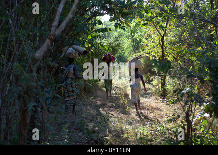 MECEBURI FOREST RESERVE, in der Nähe von NAMPULA, Mosambik, Mai 2010: TVillagers zu Fuß durch den Wald.    Foto: Mike Goldwater Stockfoto