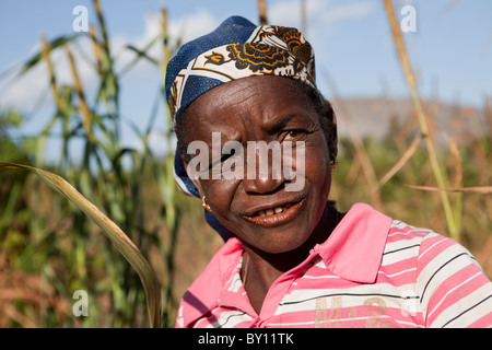 MECEBURI in der Nähe von NAMPULA, Mosambik, Mai 2010: Adrina Veleke Zuschneiden Landwirt und alleinerziehende Mutter, mit ihrem Hirse neben ihrem Haus. Stockfoto