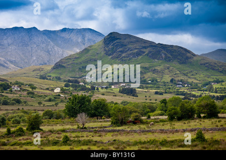 Hütten am Fuße der Maamturk Mountains in der Nähe von Maam, Connemara, County Galway, Irland Stockfoto