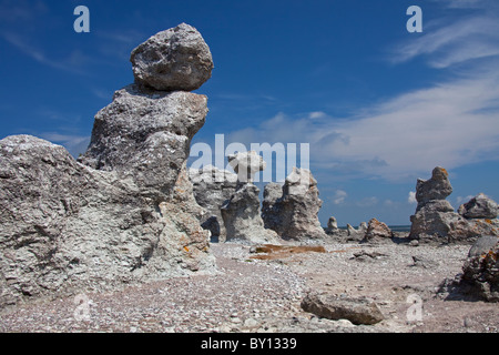 Kalkstein-Meer-Stacks / Raukar am Folhammar, Gotland, Schweden Stockfoto