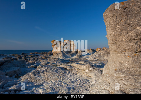 Kalkstein-Meer-Stacks / Raukar am Digerhuvud, Gotland, Schweden Stockfoto