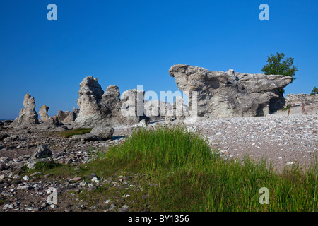 Kalkstein-Meer-Stacks / Raukar am Folhammar, Gotland, Schweden Stockfoto