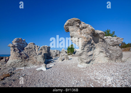 Kalkstein-Meer-Stacks / Raukar am Folhammar, Gotland, Schweden Stockfoto