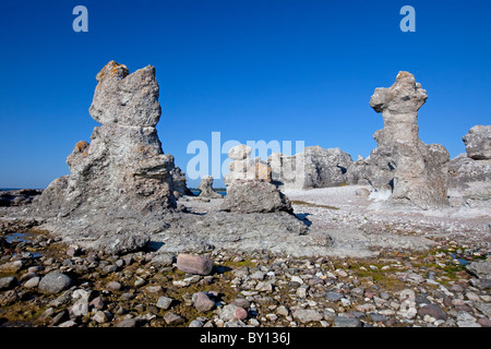 Kalkstein-Meer-Stacks / Raukar am Folhammar, Gotland, Schweden Stockfoto