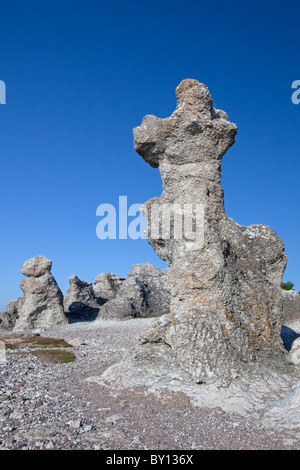 Kalkstein-Meer-Stacks / Raukar am Folhammar, Gotland, Schweden Stockfoto