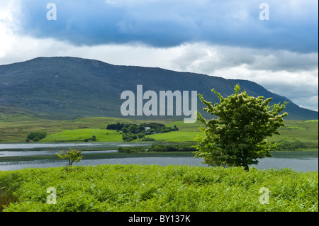 Bauernhof am Fuße der Maamturk Mountains in der Nähe von Maam, Connemara, County Galway, Irland Stockfoto