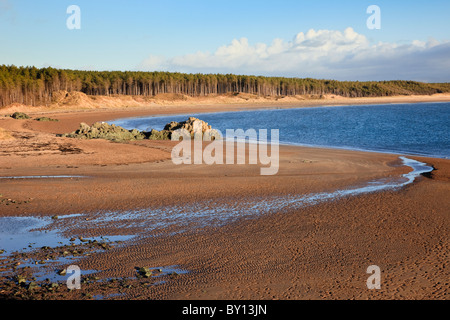 Blick auf Strand von Llanddwyn und Newborough Wald. Newborough, Isle of Anglesey, North Wales, UK, Großbritannien Stockfoto