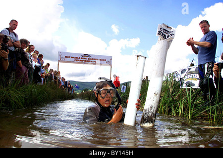 Das Moor Schnorcheln Weltmeisterschaft, Llanwrtyd Wells Mitte Wales. Stockfoto