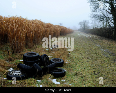 Pkw-Reifen entsorgt illegal auf Ackerland. Stockfoto