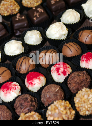 Edle handgemachte Pralinen Stockfoto