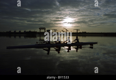 Morgen, Rudern, Cardiff Bay. Stockfoto