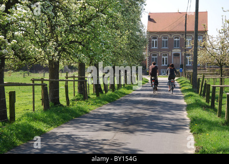 Radfahren entlang Landstraßen in Haspengouw Belgien Stockfoto