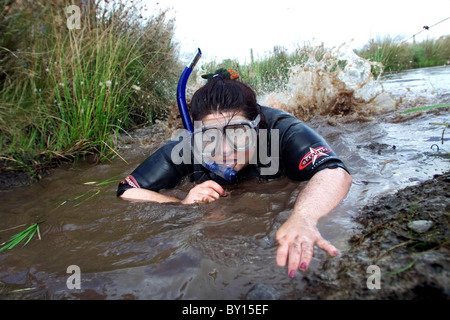 Der Bog Schnorcheln World Championships, Llanwrtyd Wells Mitte Wales. Stockfoto