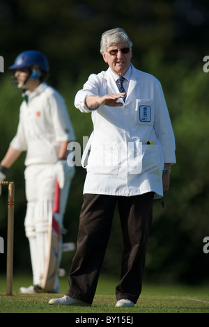 Kricket-Schiedsrichter signalisiert. Stockfoto