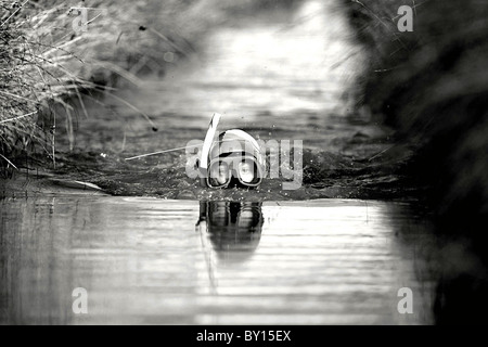 Der Bog Schnorcheln World Championships, Llanwrtyd Wells Mitte Wales. Stockfoto