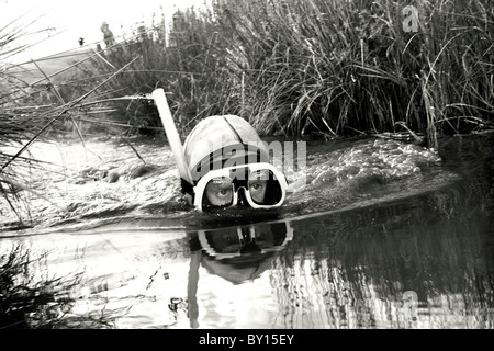 Der Bog Schnorcheln World Championships, Llanwrtyd Wells Mitte Wales. Stockfoto