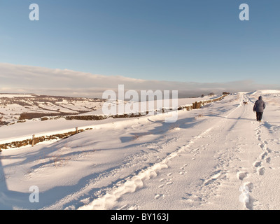 Einsamer Wanderer mit Hund über Eskdale auf der North Yorkshire Moors in der Nähe von Goathland. Stockfoto