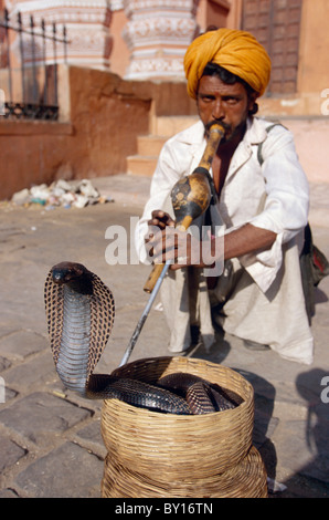 Schlangenbeschwörer, Jaipur, Rajasthan, Indien Stockfoto