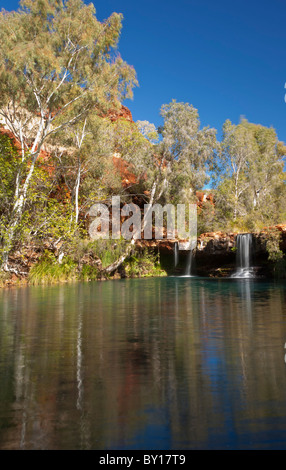 Farn Pool in Dales Gorge, Karijini-Nationalpark, Pilbara, Western Australia, Australia Stockfoto