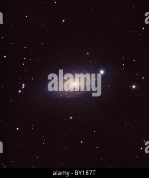 Teleskop Bild der Sonnenblumen Galaxie Messier 63. Stockfoto