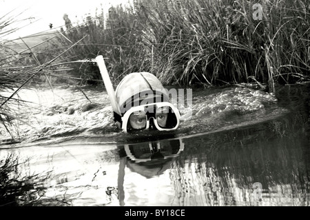 Das Moor Schnorcheln Weltmeisterschaft, Llanwrtyd Wells Mitte Wales. Stockfoto