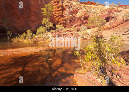 Severe tektonischen Faltung in Hamersley Gorge, Karijini-Nationalpark, Pilbara, Western Australia Stockfoto