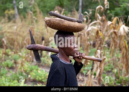 MECATI Wald, Mosambik, Mai 2010: Expandierende Landwirtschaft - diese Familie die Bäume und das Grundstück, auf diesem Hügel gelöscht. Stockfoto