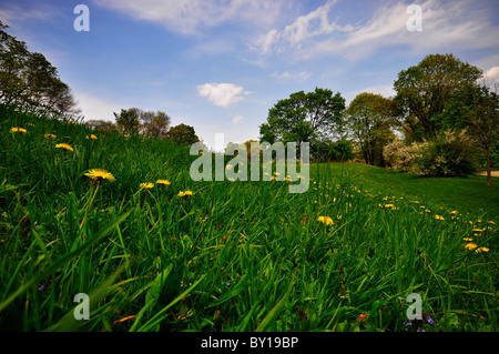 Ein schöner Sommertag im Washington Park, Albany. Stockfoto