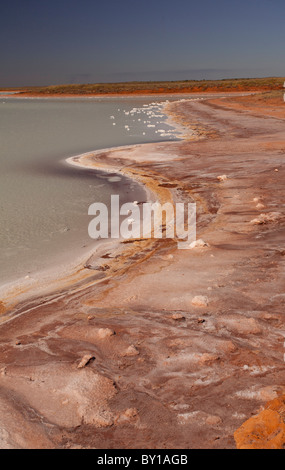 Salz verkrusteten bunten Ufer, Salz funktioniert, Onslow, Pilbara, Western Australia Stockfoto