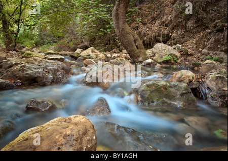 Stream mit Felsen in Bewegung Unschärfe am Kziv-Fluss im nördlichen Israel Galilee Stockfoto