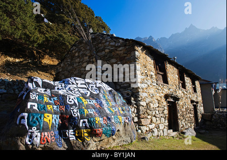 Asien, Nepal, Himalaya, Sagarmatha Nationalpark, Solu Khumbu-Everest-Region, UNESCO-Welterbe, Thame, Hauptstein Stockfoto