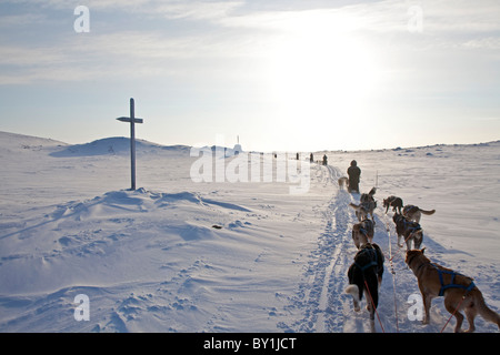 Norwegen, Finnmark Region. Hundeschlitten am Polarkreis Stockfoto