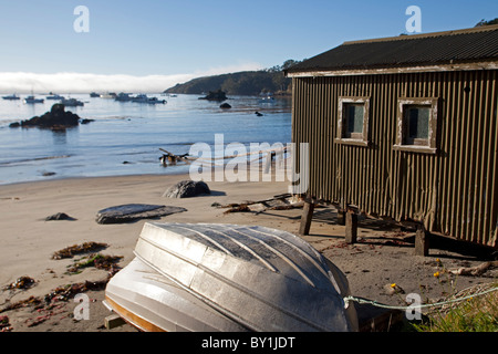 Neuseeland, Südinsel, Stewart Island.   Die Insel ist ein beliebtes Ausflugsziel für Touristen und Reisende auf der Suche nach Stockfoto