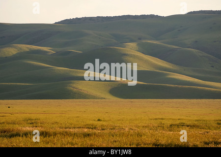 Elk244-X153 Kalifornien, Carrizo Plain National Monument, Caliente Range, Berglandschaft Stockfoto