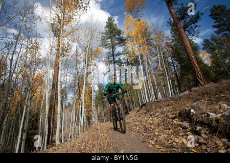 USA, Arizonia, Grand Canyon north rim, Kaibab National Forest.  Die Weite des Nationalparks entfernt von den wichtigsten Stockfoto