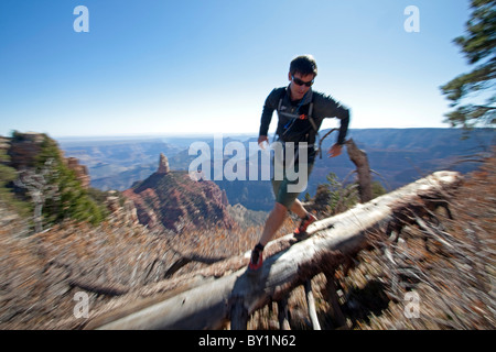 USA, Arizonia, Grand Canyon north rim, Kaibab National Forest. Das große Freigelände Nationalpark angrenzend an die wichtigsten Grand Stockfoto