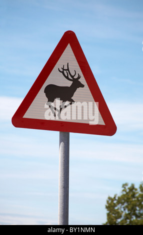 Hirsch Kreuzung Straßenschild in Großbritannien im Juli - dreieckig Straßenschild Dreieck Stockfoto