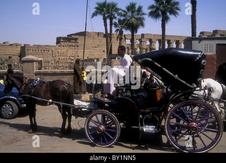 Garry oder Pferdekutsche vor dem Luxor Tempel in Luxor, Ägypten Stockfoto