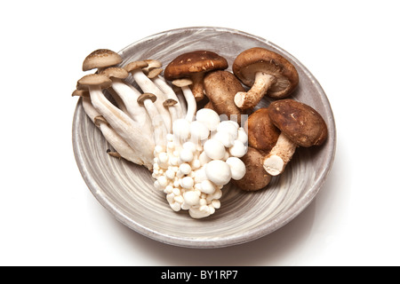 Chinesische Pilze, Enoki, Hon Shimeji und Shitake isoliert auf einem weißen Studio-Hintergrund. Stockfoto