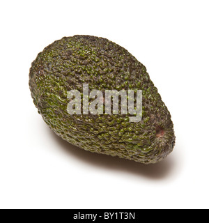 Ganze Avocado isoliert auf einem weißen Studio-Hintergrund. Stockfoto