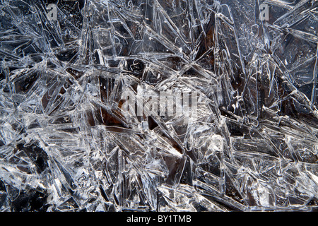 Komplizierte Muster in das Eis auf einem gefrorenen Bach in Hampshire, England, UK. Stockfoto
