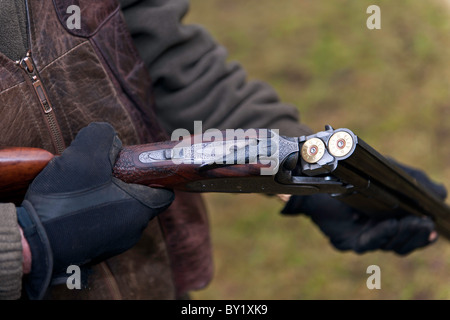 Die Fasan schießen Stockfoto