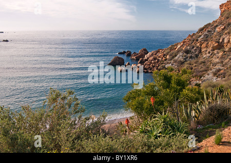 Strand Playa Cala Cortina vor den Toren der Stadt Cartagena in der Region Murcia, Süd-Ost-Spanien Stockfoto