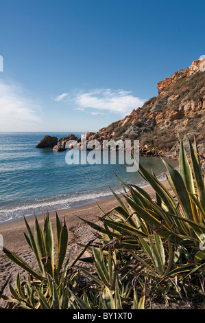 Strand Playa Cala Cortina vor den Toren der Stadt Cartagena in der Region Murcia, Süd-Ost-Spanien Stockfoto