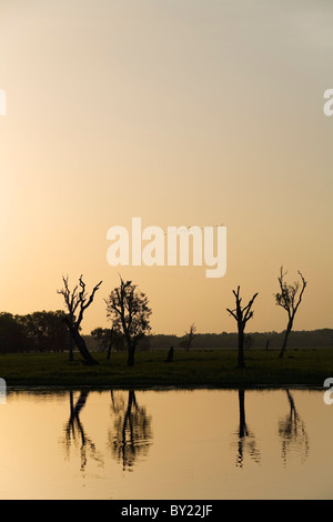 Australien, Northern Territory, Kakadu-Nationalpark, Cooinda.  Sonnenuntergang am Yellow Water Wetlands. Stockfoto