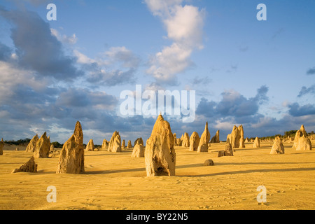 Australien, Western Australia, Cervantes, Nambung National Park.  Kalksteinsäulen in der Dämmerung in die Pinnacles Desert. Stockfoto