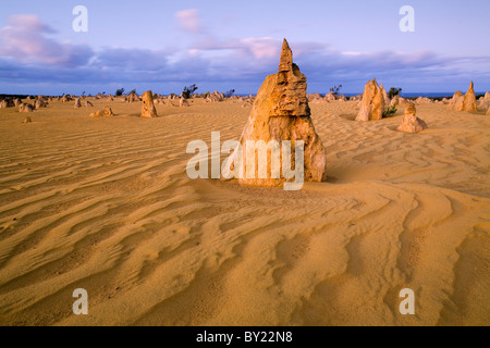 Australien, Western Australia, Cervantes, Nambung National Park.  Kalksteinsäulen der Pinnacles Desert bei Sonnenaufgang. Stockfoto