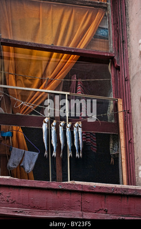 Fische hängen im Fenster in Chinatown San Francisco Kalifornien Stockfoto